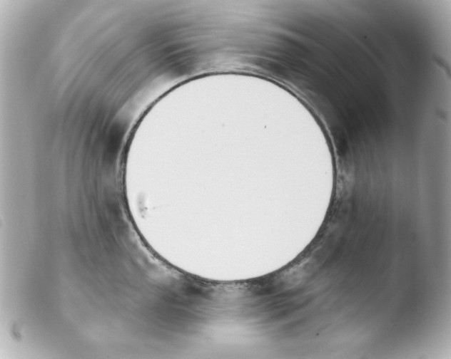 X0000103931053200810031254