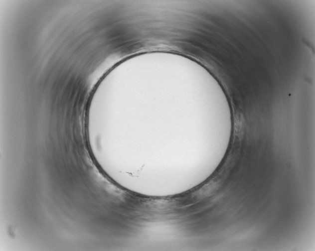 X0000103931054200810031254