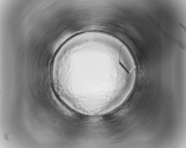 X0000103931055200810031254