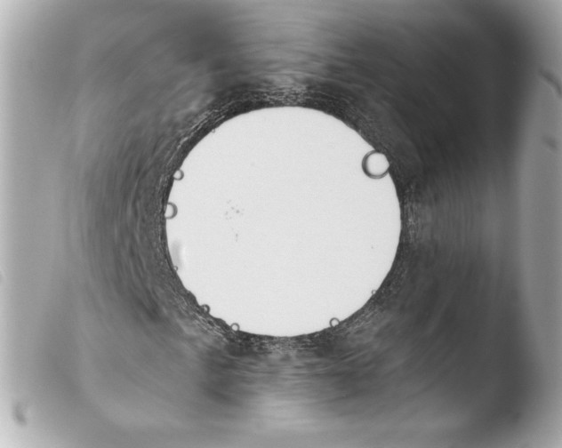 X0000103931057200810031254