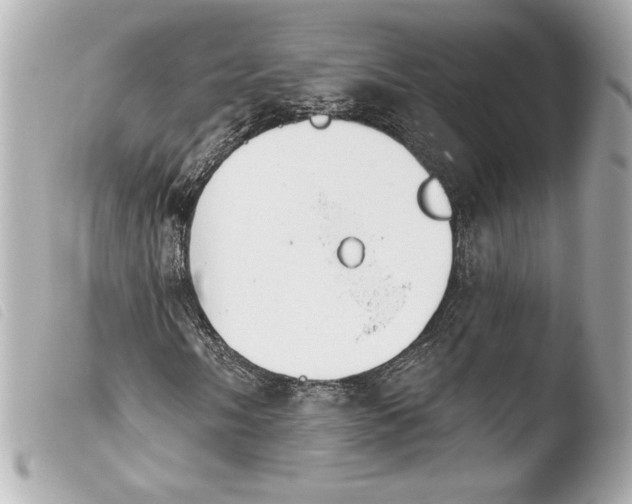 X0000103931058200810031254
