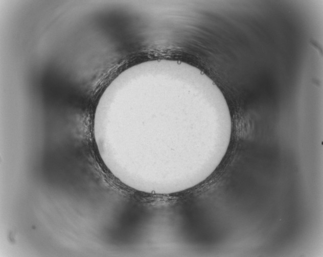 X0000103931060200810031253