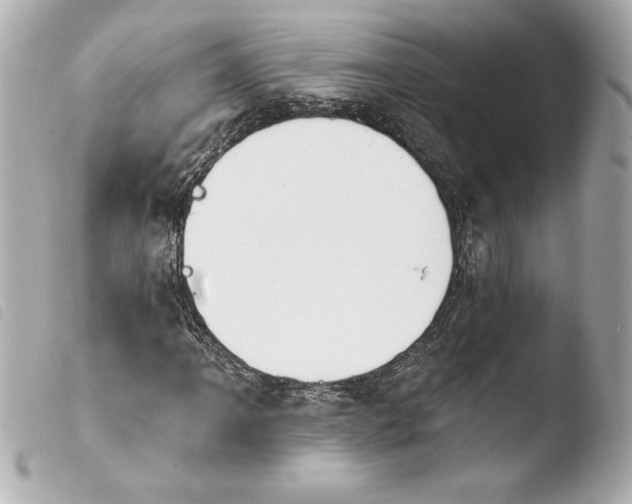 X0000103931061200810031253