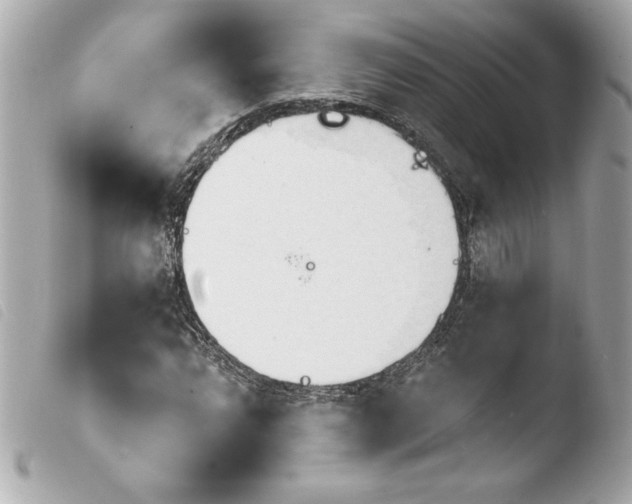 X0000103931064200810031253