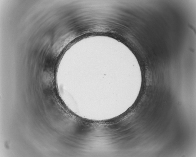 X0000103931065200810031253