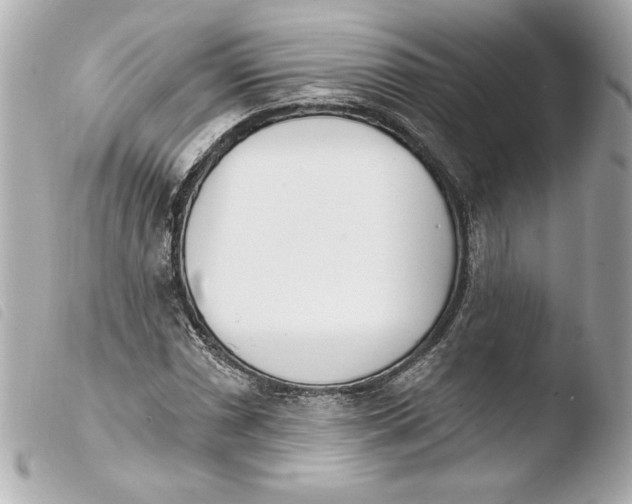 X0000103931066200810031253