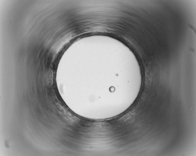 X0000103931067200810031253