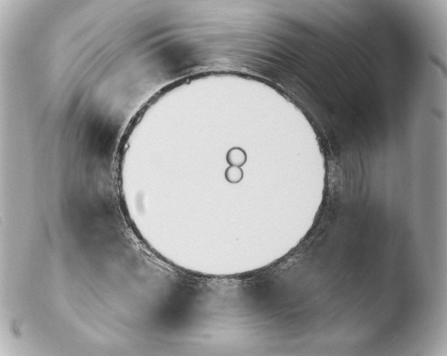 X0000103931068200810031253