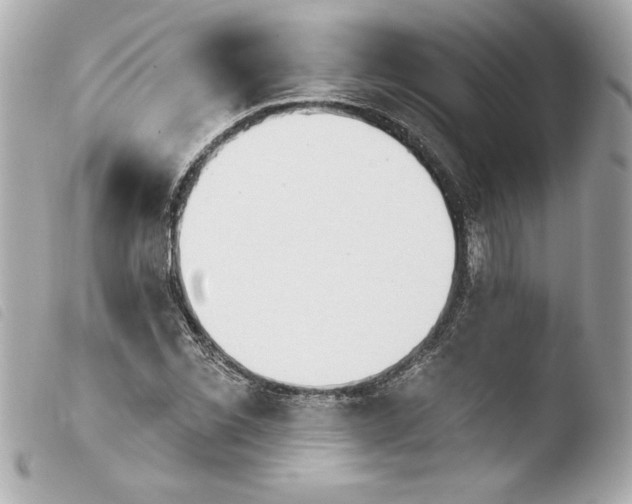 X0000103931069200810031253
