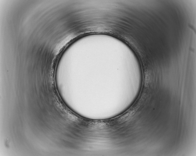 X0000103931071200810031253