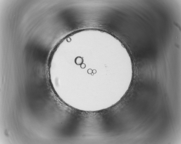 X0000103931072200810031253