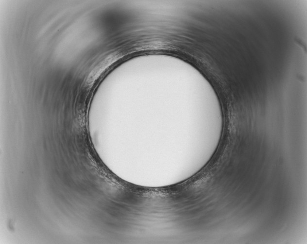 X0000103931073200810031253
