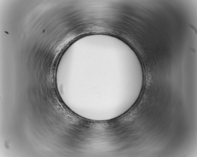 X0000103931074200810031253