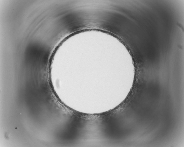 X0000103931076200810031253