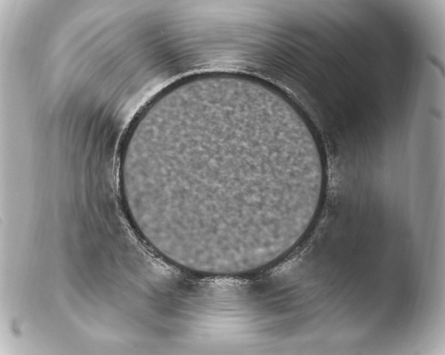 X0000103931077200810031253