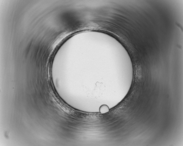 X0000103931078200810031253