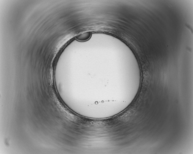X0000103931079200810031253