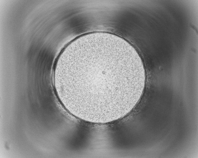 X0000103931080200810031253