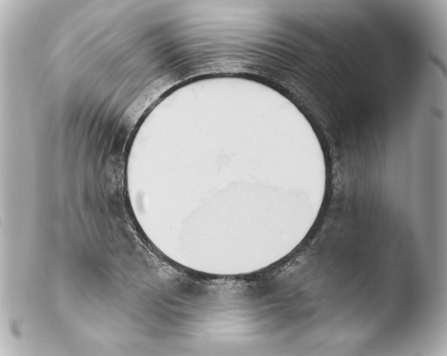 X0000103931081200810031253