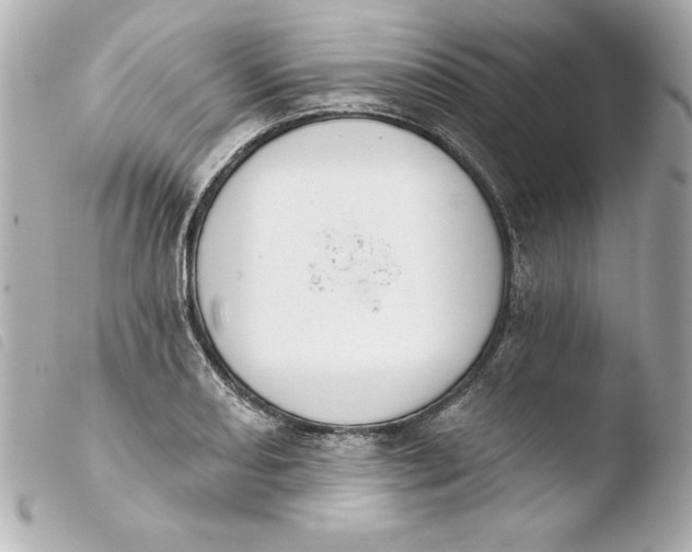X0000103931082200810031253