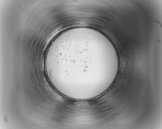 X0000103931083200810031253