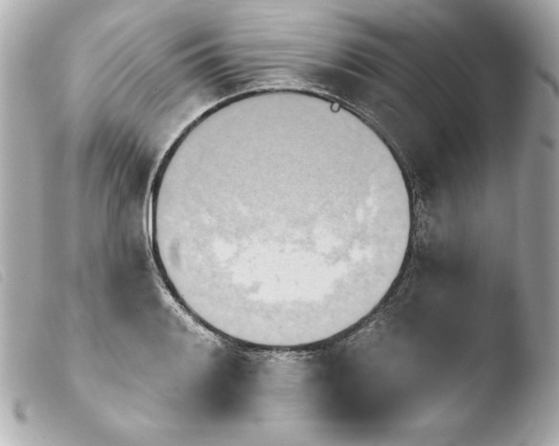 X0000103931084200810031253