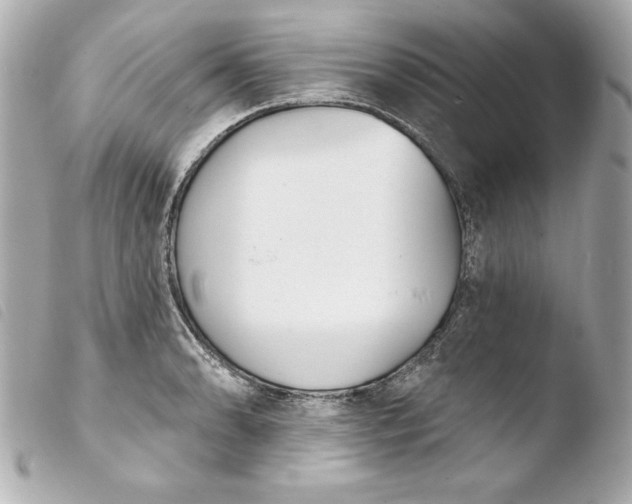 X0000103931086200810031253