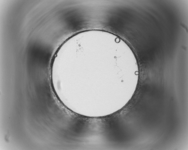 X0000103931088200810031253