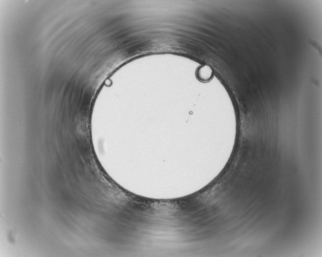 X0000103931089200810031253