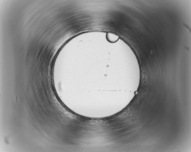 X0000103931091200810031253
