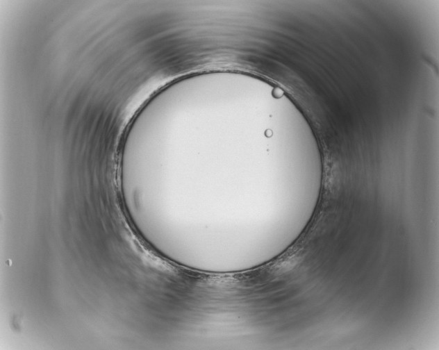 X0000103931094200810031253