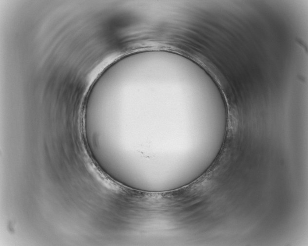 X0000103931098200810031253