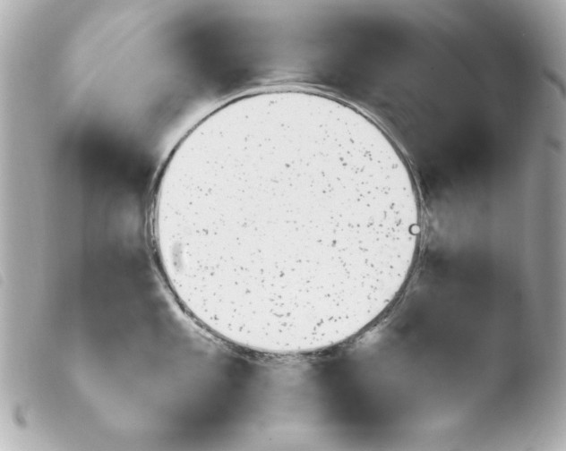 X0000103931101200810031253