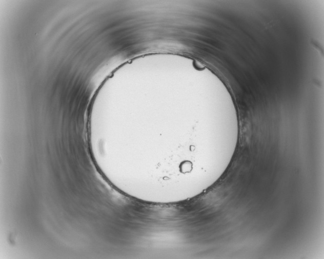 X0000103931103200810031253