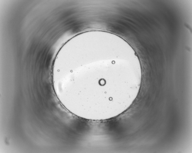 X0000103931104200810031253