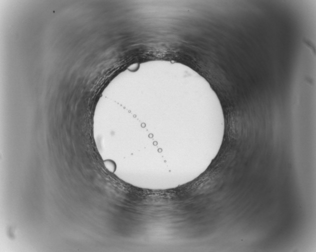X0000103931105200810031252