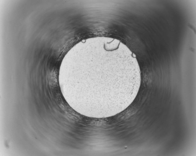 X0000103931106200810031252