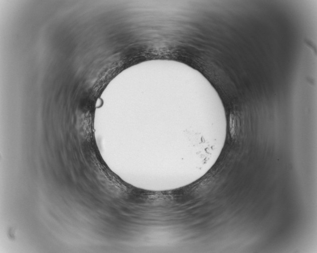 X0000103931107200810031252