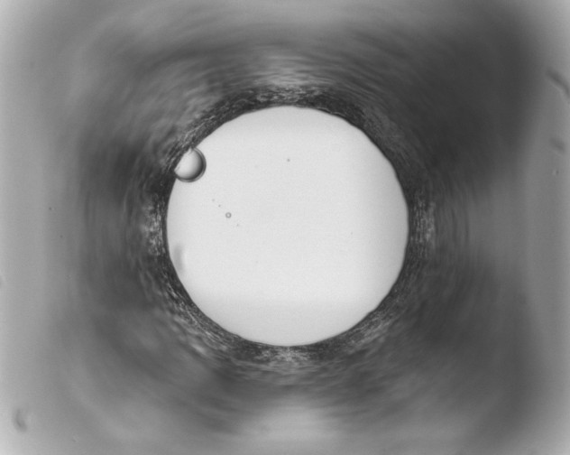 X0000103931109200810031252