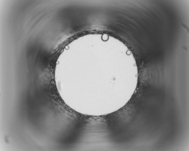X0000103931112200810031252