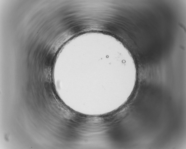 X0000103931113200810031252