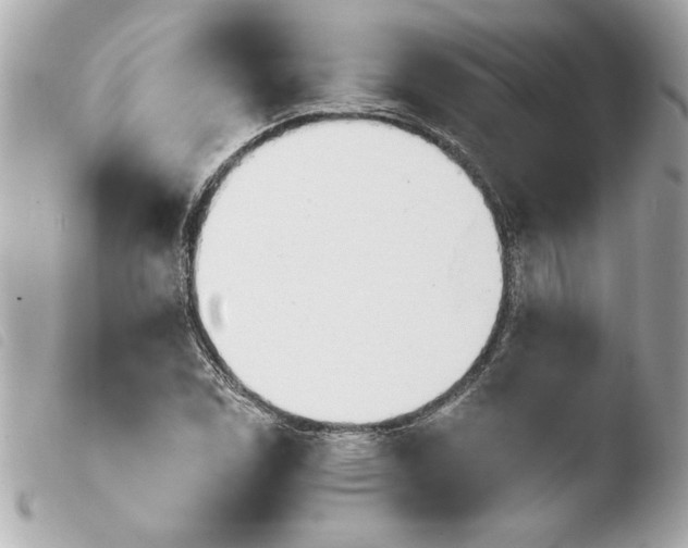 X0000103931114200810031252