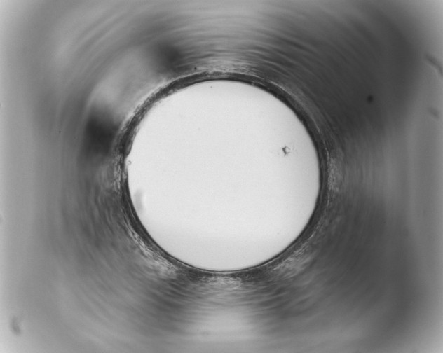 X0000103931115200810031252