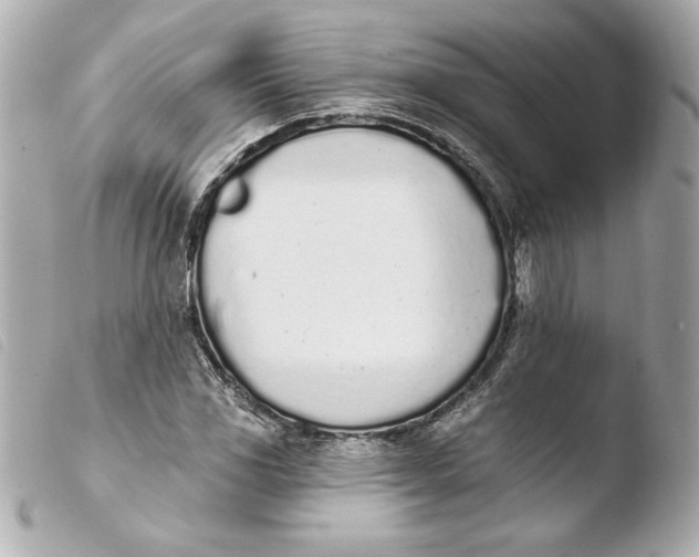 X0000103931117200810031252