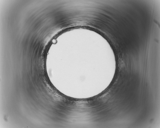 X0000103931118200810031252