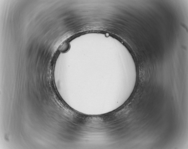 X0000103931119200810031252