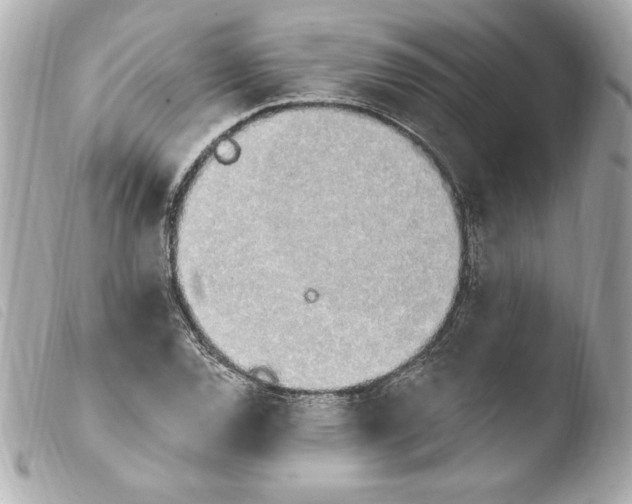X0000103931120200810031252