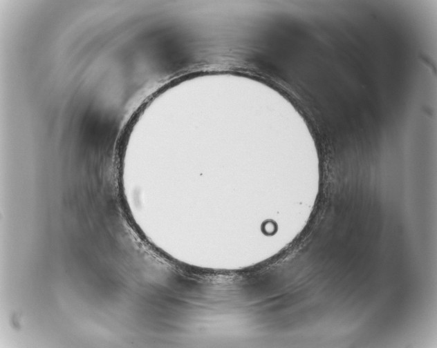 X0000103931122200810031252
