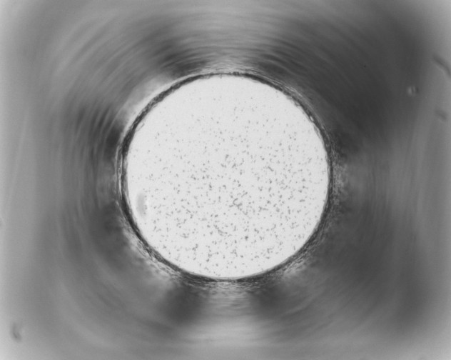 X0000103931124200810031252