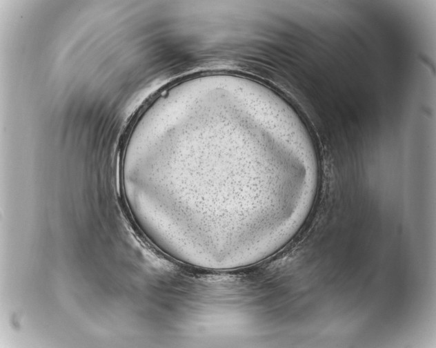 X0000103931127200810031253